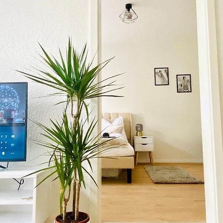 Stilvolles Apartment In Zentraler Lage - Smart-Tv, Queensize-Bett, Altbaustil, Kueche In City-Naehe Erfurt Zewnętrze zdjęcie